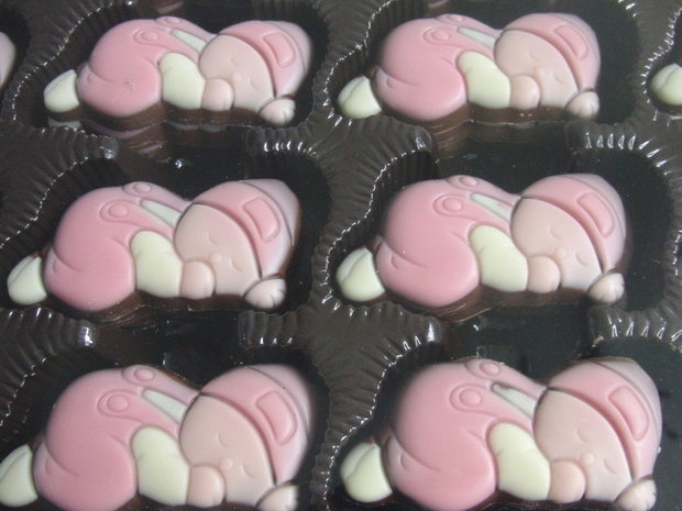 chocolade baby's roze voor kraamfeest